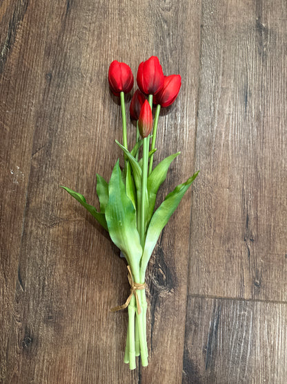Realistic Tulips