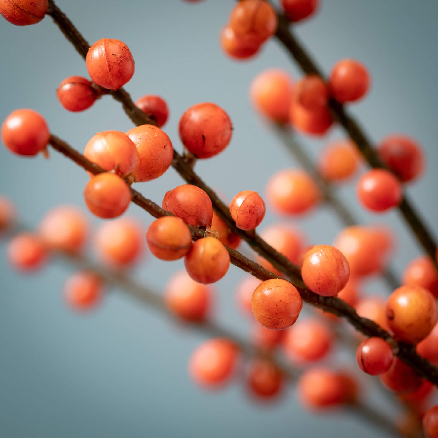 Large Orange Berry Spray