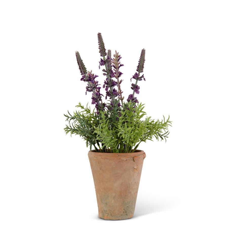 Lavender Pot