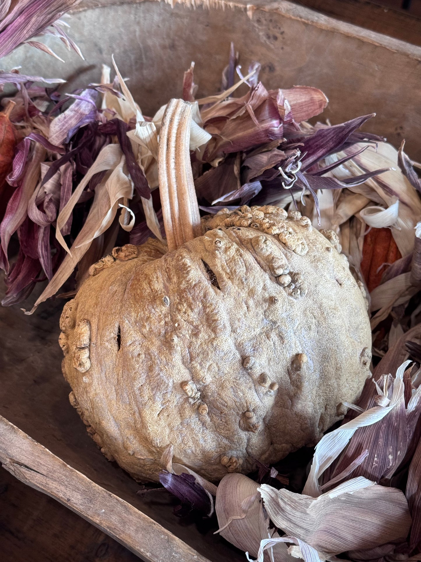 Dehydrated Pumpkins Large