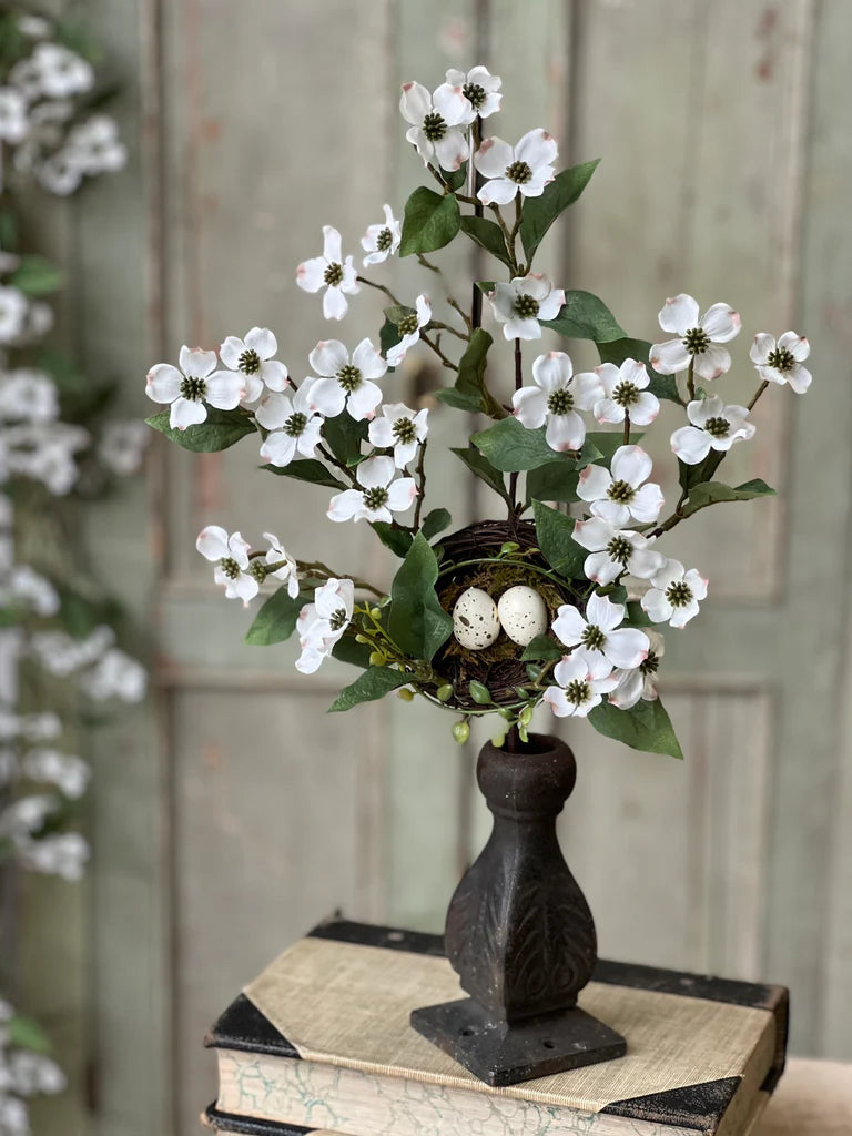 Dogwood Collection