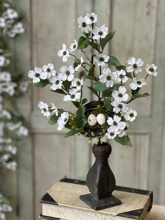 Dogwood Collection