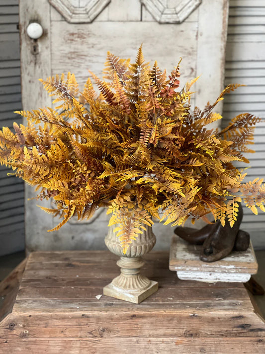 Large Fall Fern