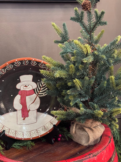 Balsam Fir Seedling Winter Trees