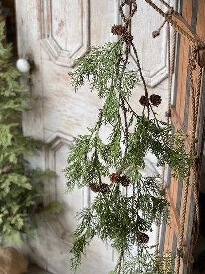 Hemlock Pine Collection