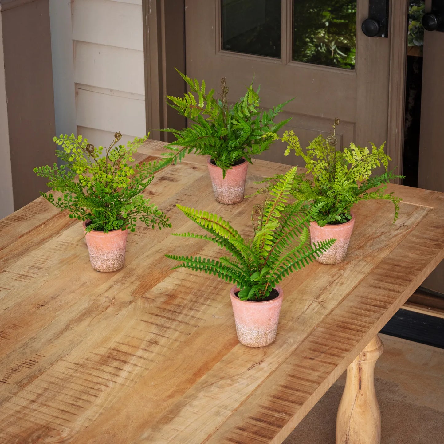 Potted Faux Ferns