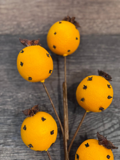 Cloved Orange Pick