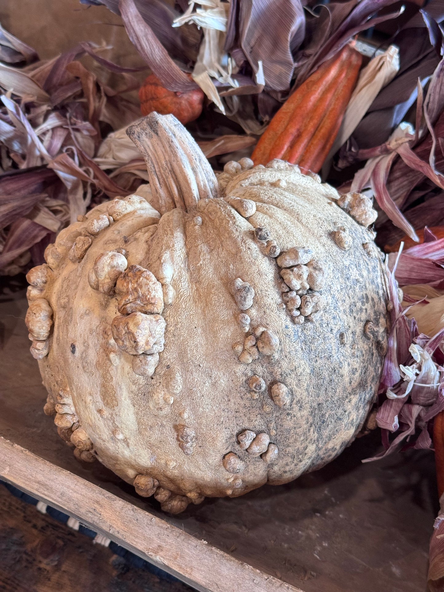 Dehydrated Pumpkins Large