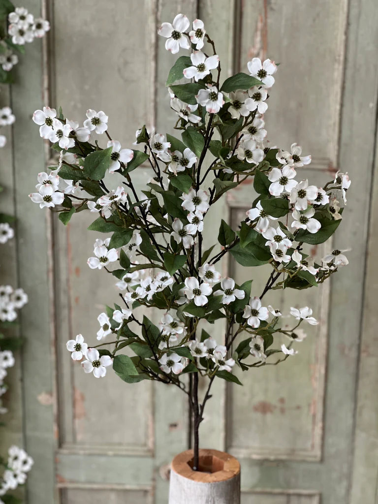 Dogwood Collection
