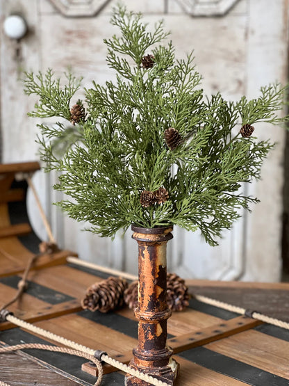 Hemlock Pine Collection