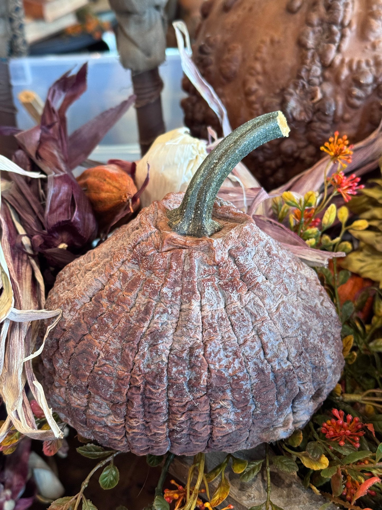 Dehydrated Pumpkins Medium