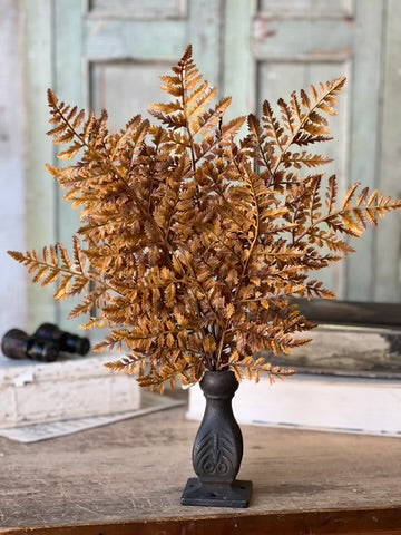 Fall Fern Picks