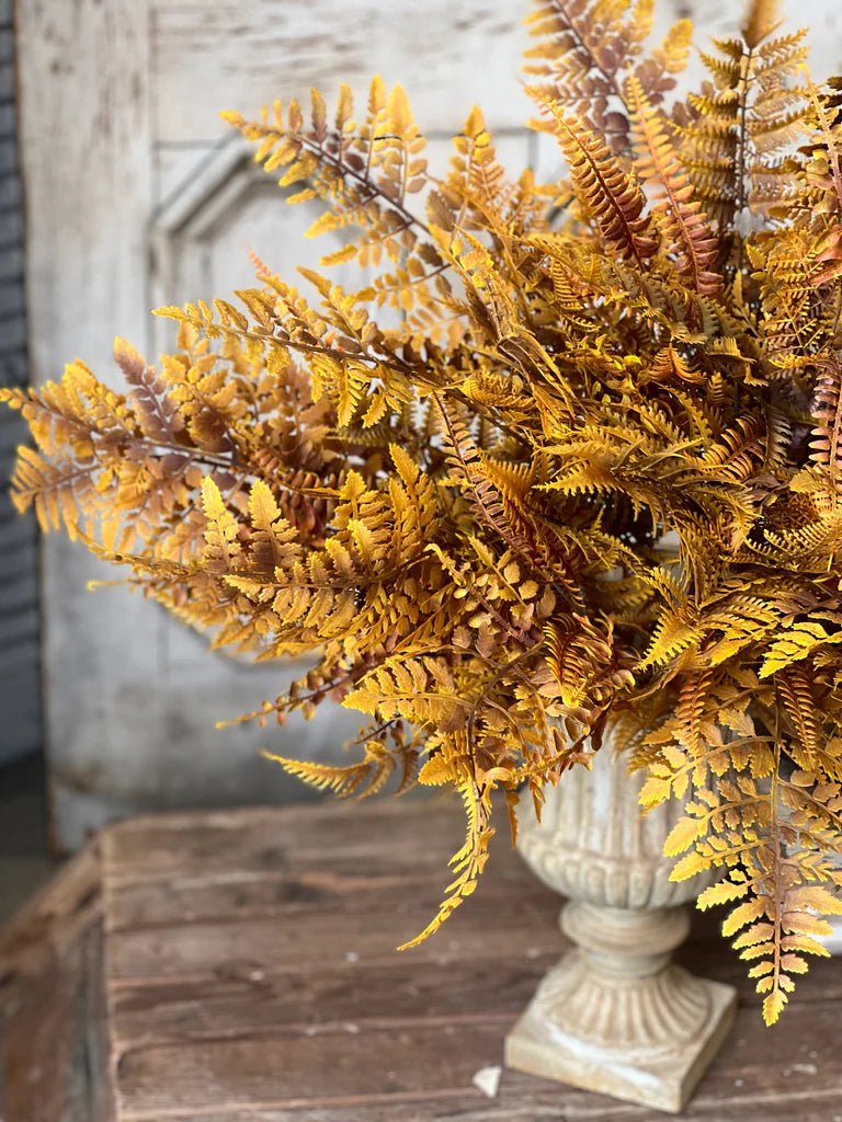 Large Fall Fern