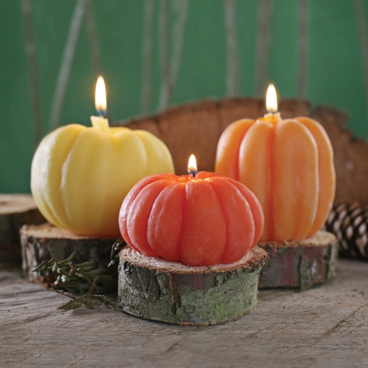 Beeswax Fall Candles