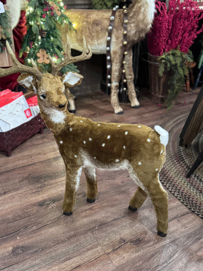 Realistic Deer