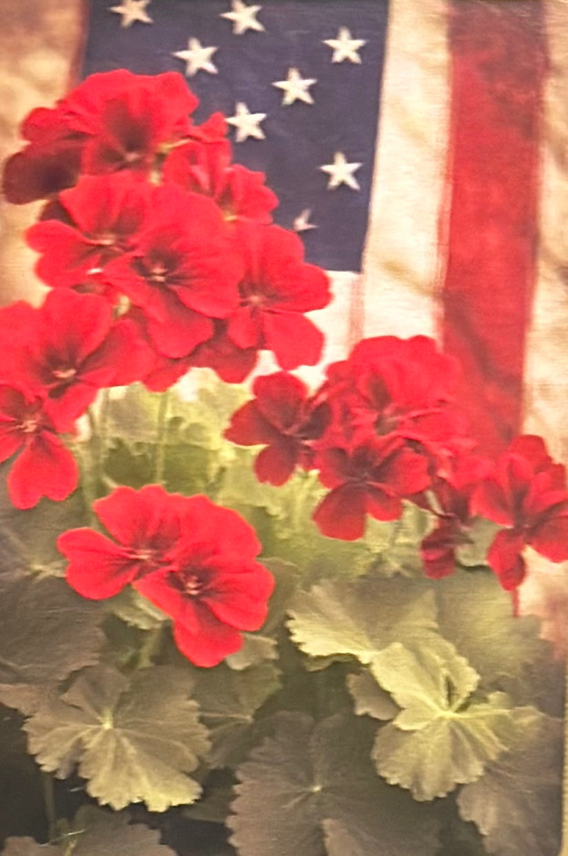 Garden Flags 12.5” x 17.25”