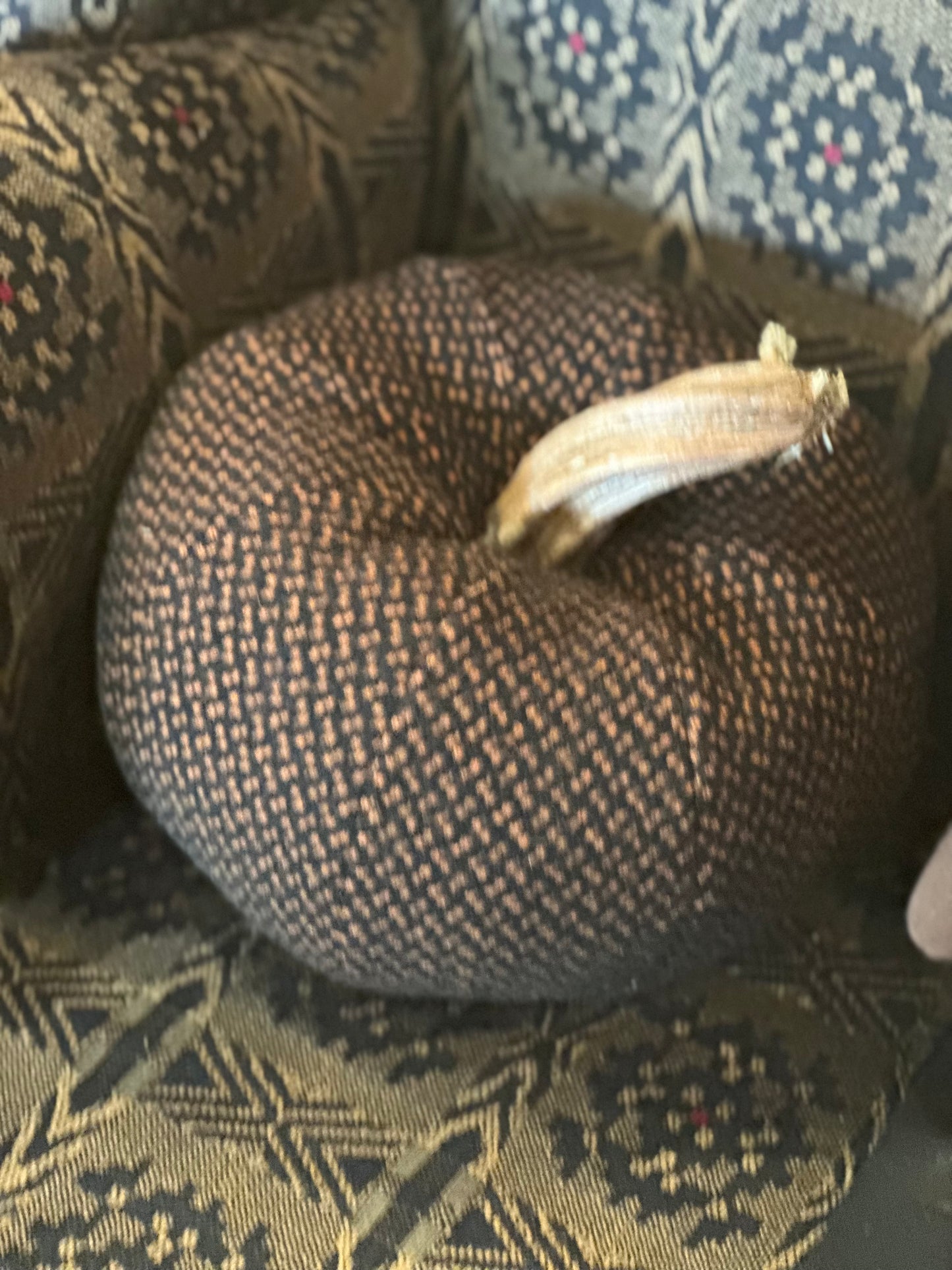 Colleen’s Wool Pumpkins