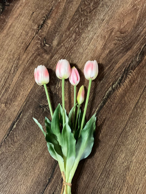 Realistic Short Tulips