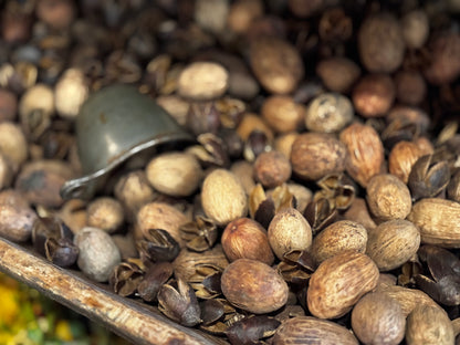 Scoopable Primitive Pod Bowl Fillers