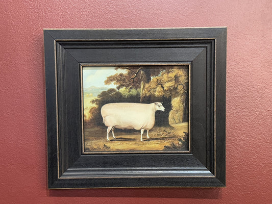 Small Sheep Under Tree Framed Art