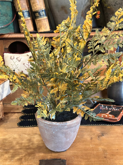 18” Fall Potted Fern Moss Color