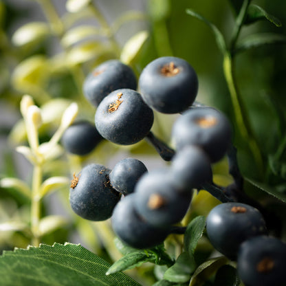 Greenery Pick w/Blueberries