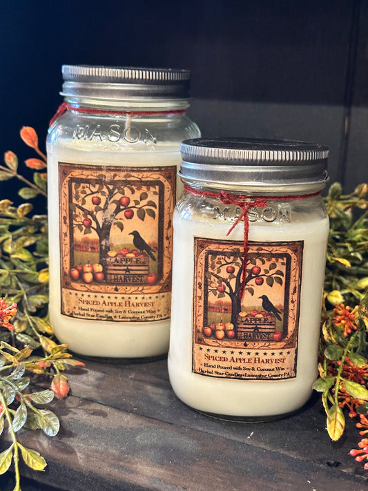 Herbal Star Fall Spice Apple Harvest