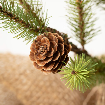 Pine Cone Trees in Burlap