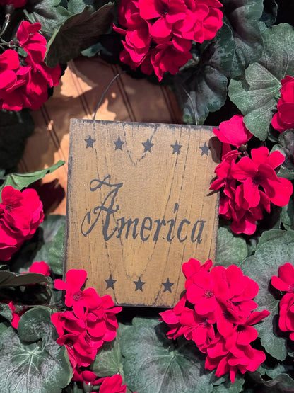 Small Summer/Americana Signs