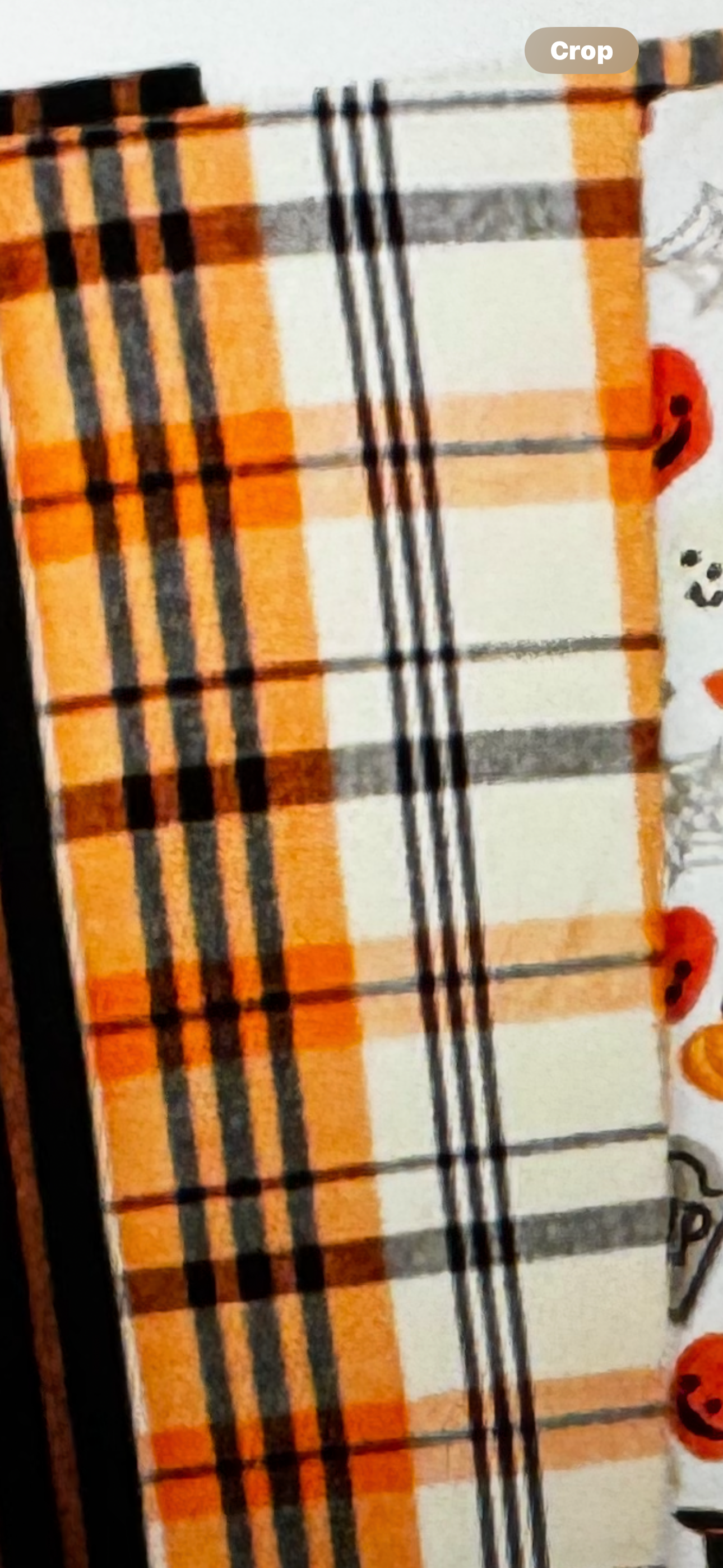Halloween Dishtowels