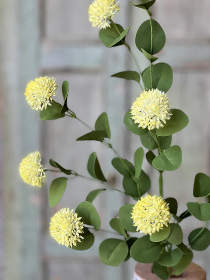 Calistoga Spray Flower