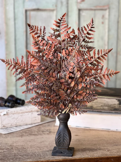 Fall Fern Picks