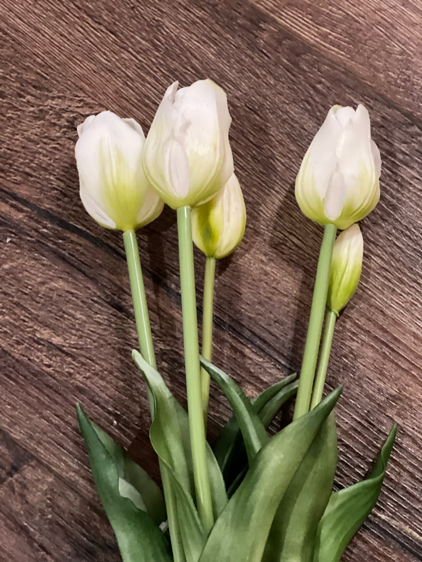 Realistic Tulips