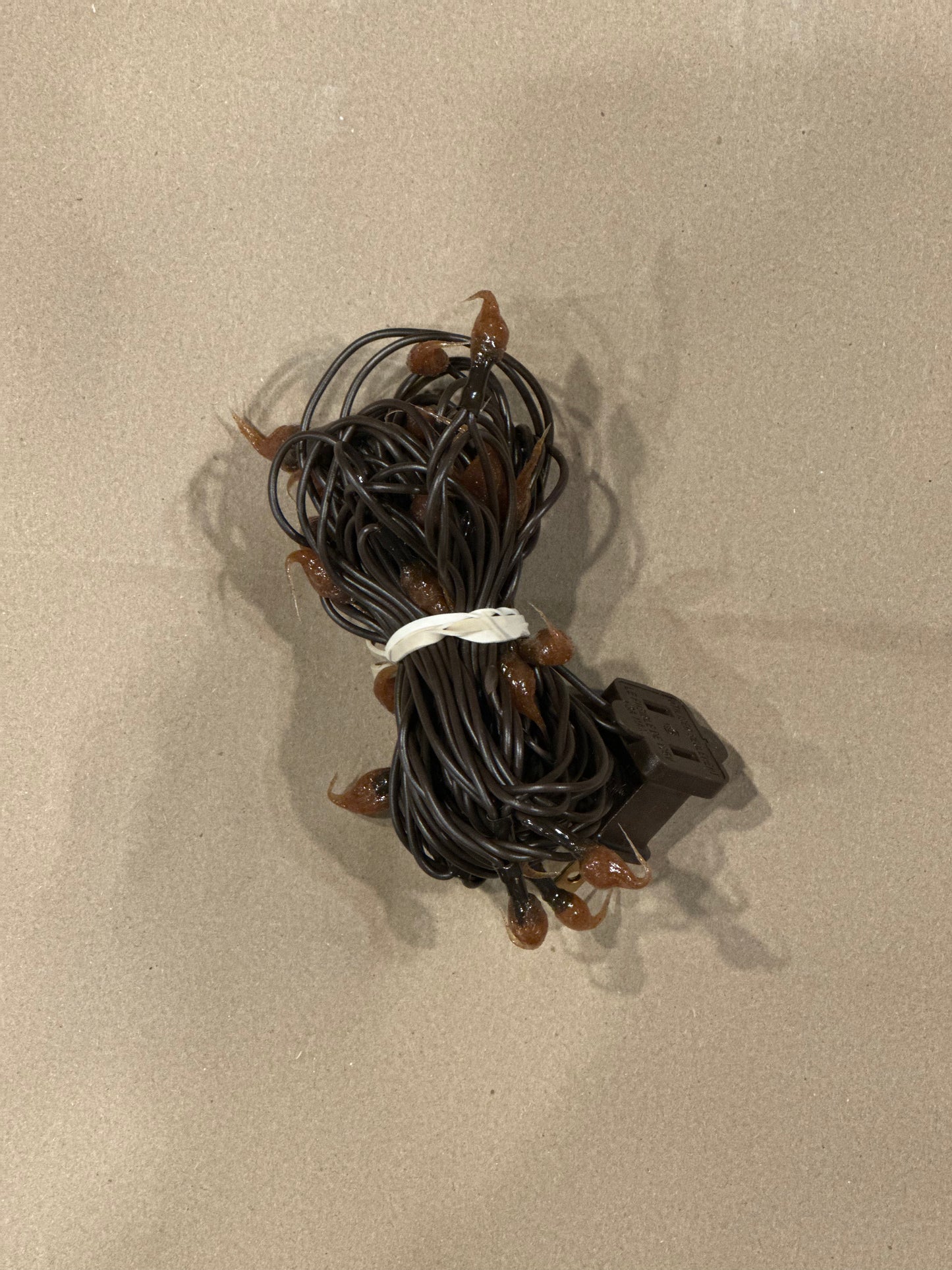 Mini Rice Dipped Lights