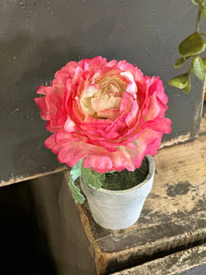 ELEGANT 6” POTTED PEONY