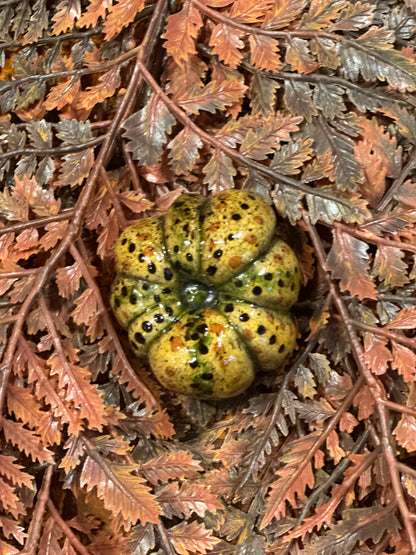 Shooner Pumpkins Fall