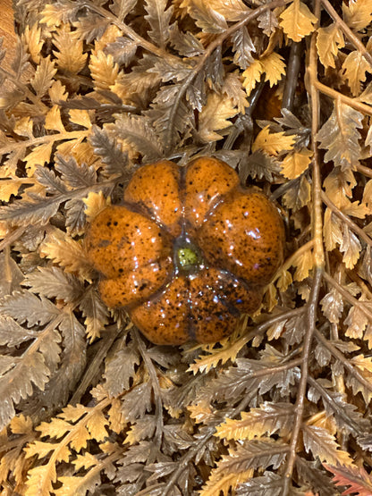 Shooner Pumpkins Fall