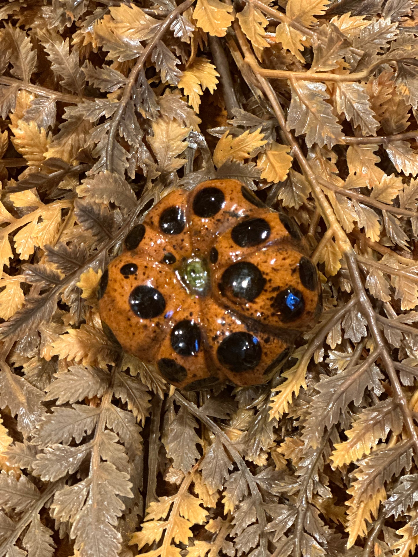 Shooner Pumpkins Fall