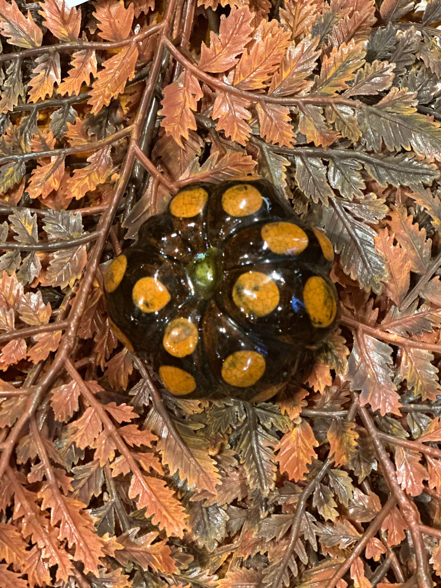Shooner Pumpkins Fall