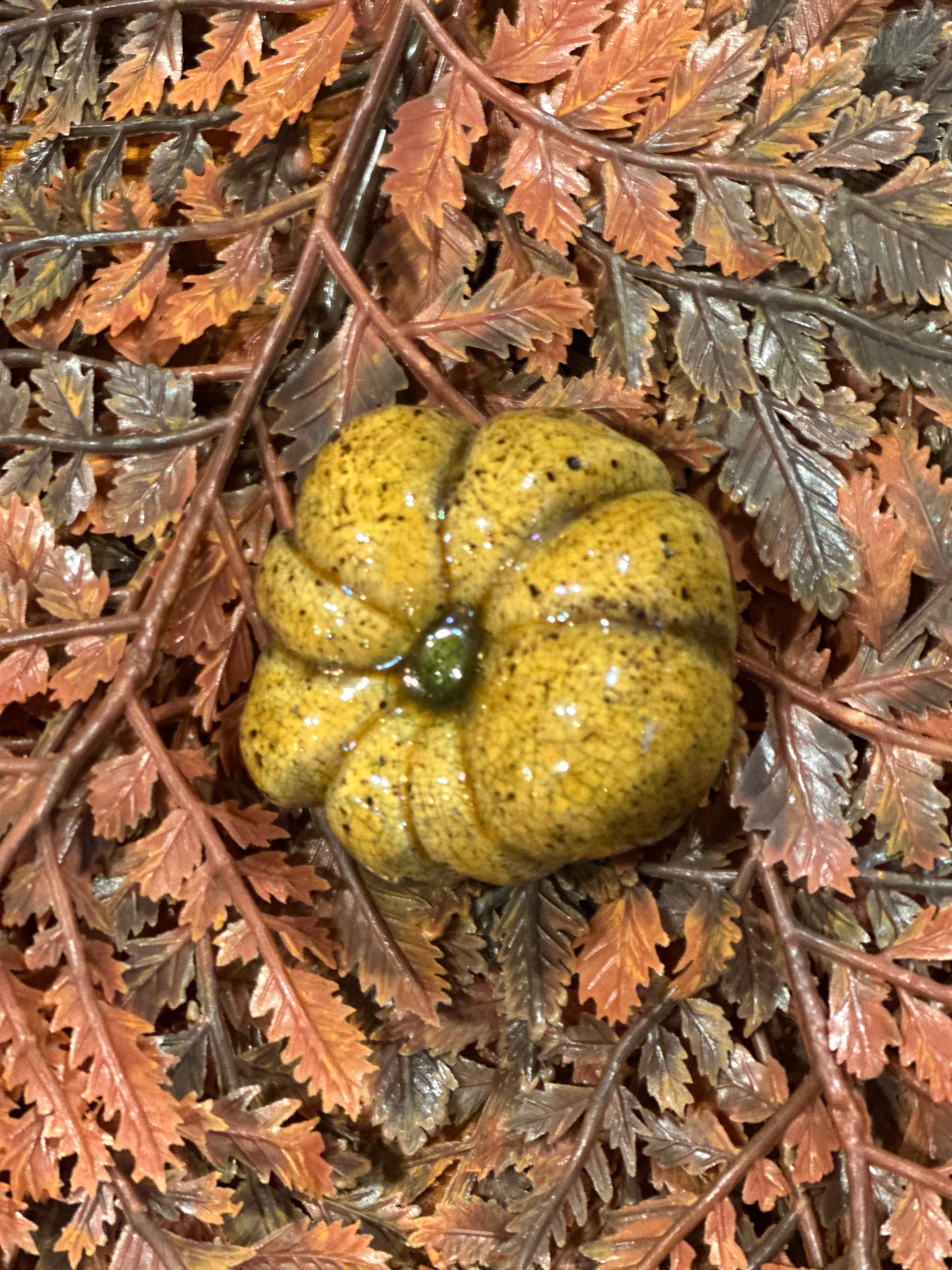 Shooner Pumpkins Fall
