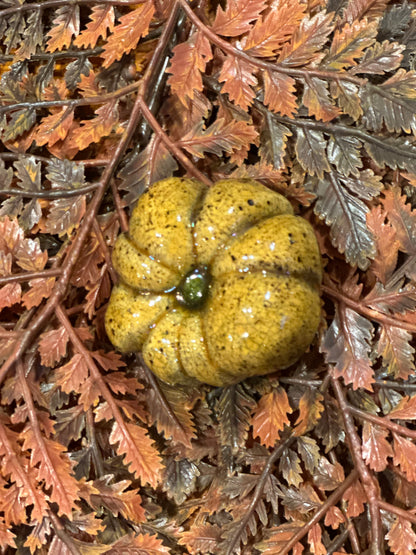 Shooner Pumpkins Fall