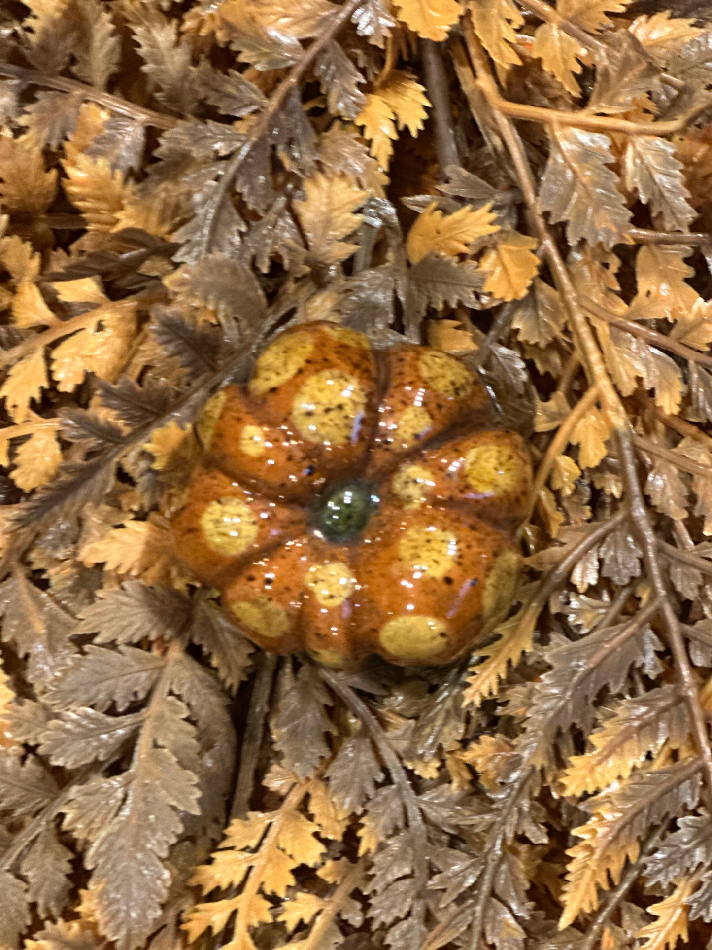 Shooner Pumpkins Fall