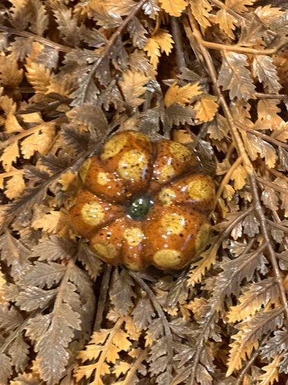 Shooner Pumpkins Fall