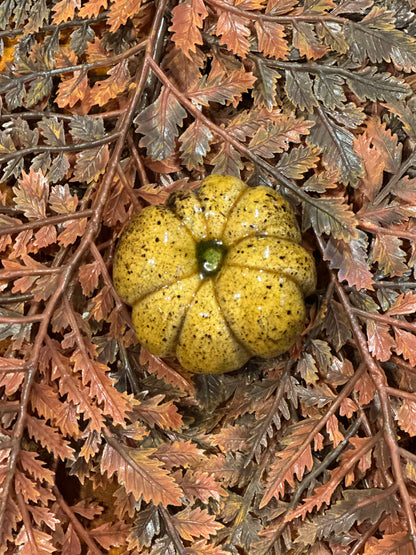 Shooner Pumpkins Fall