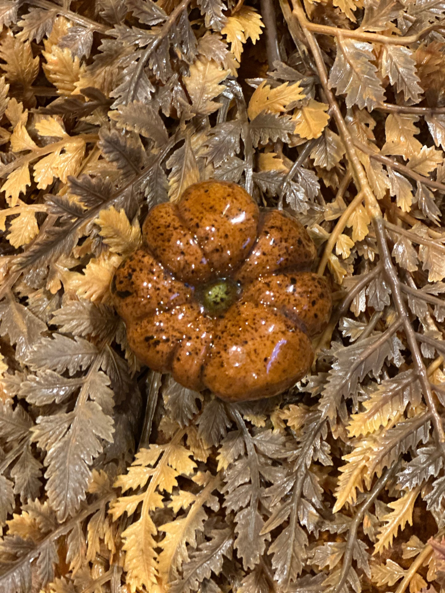 Shooner Pumpkins Fall