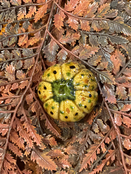 Shooner Pumpkins Fall
