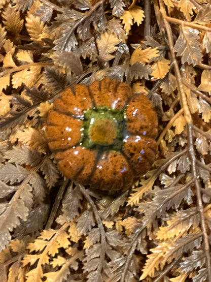 Shooner Pumpkins Fall