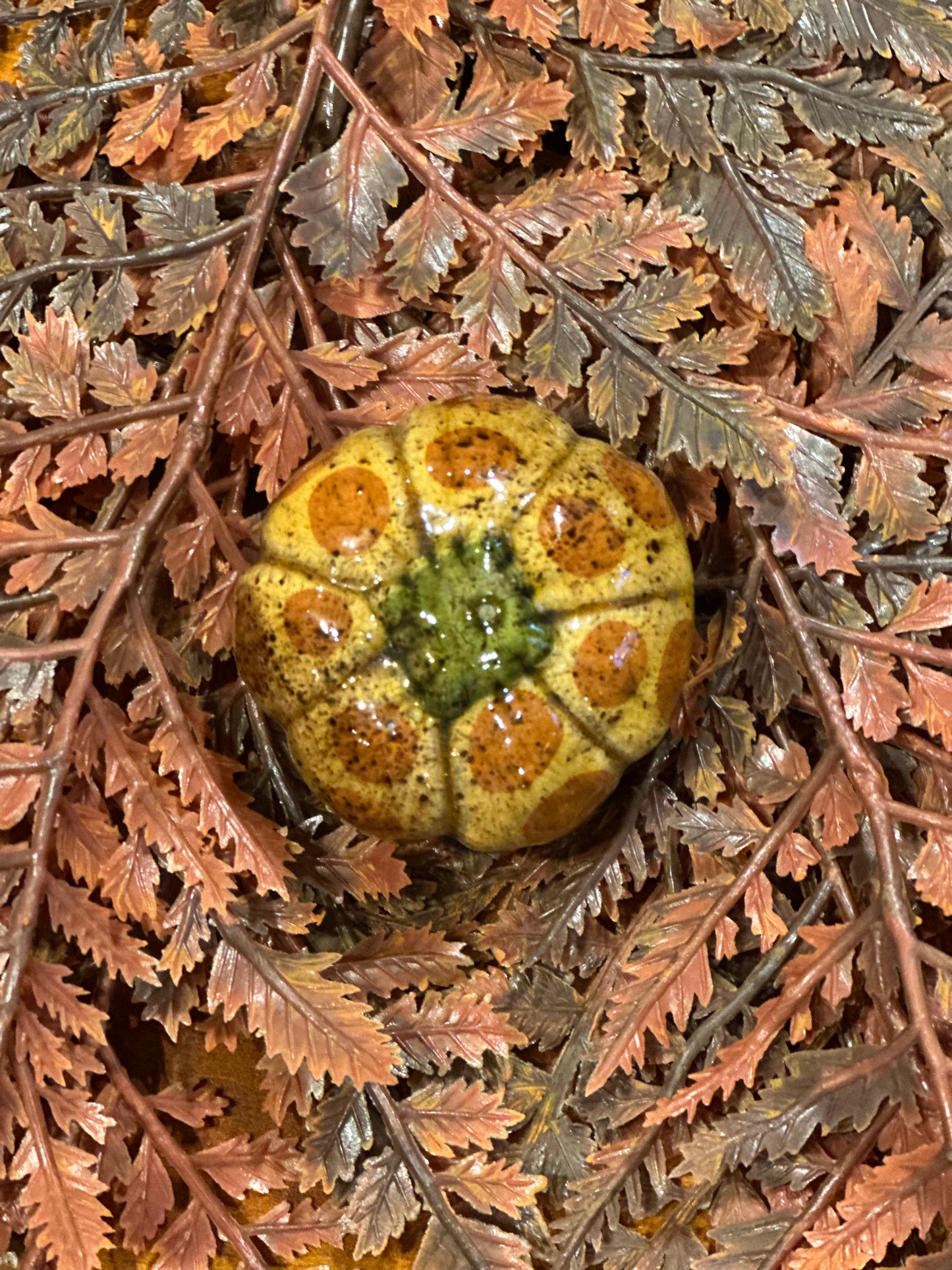 Shooner Pumpkins Fall