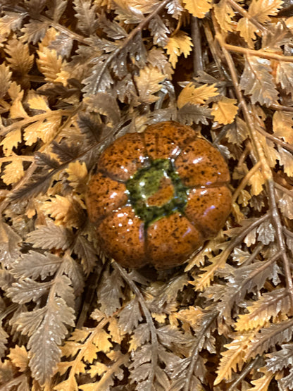 Shooner Pumpkins Fall