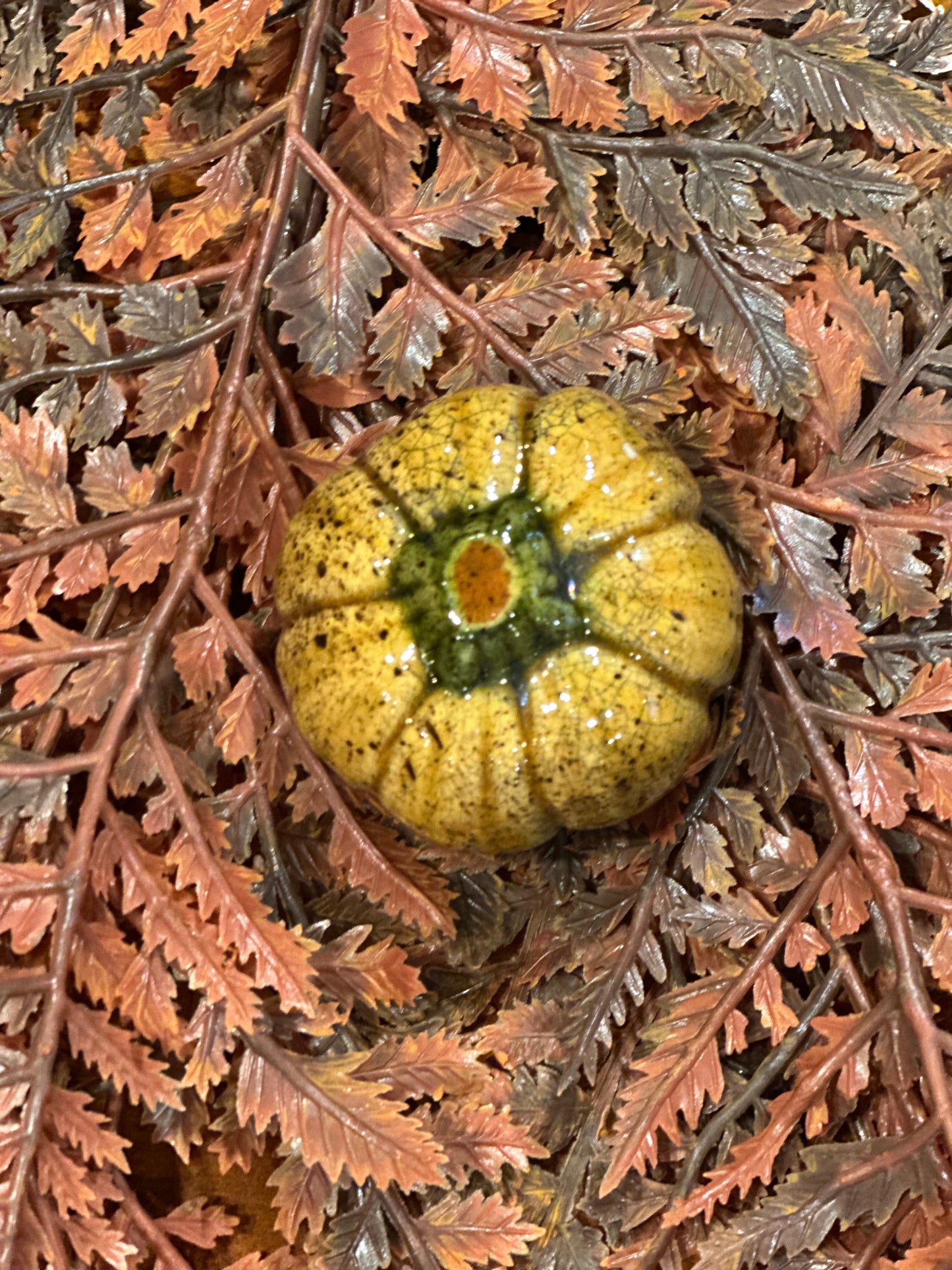 Shooner Pumpkins Fall